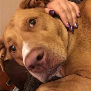 Meet your Posher, Sharayah